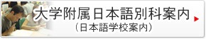 大学附属日本語別科案内（日本語学校案内）