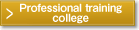 Professional training college
