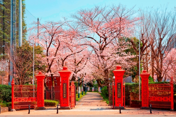 学習院女子大学